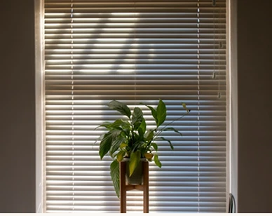Wooden Venetian Blinds